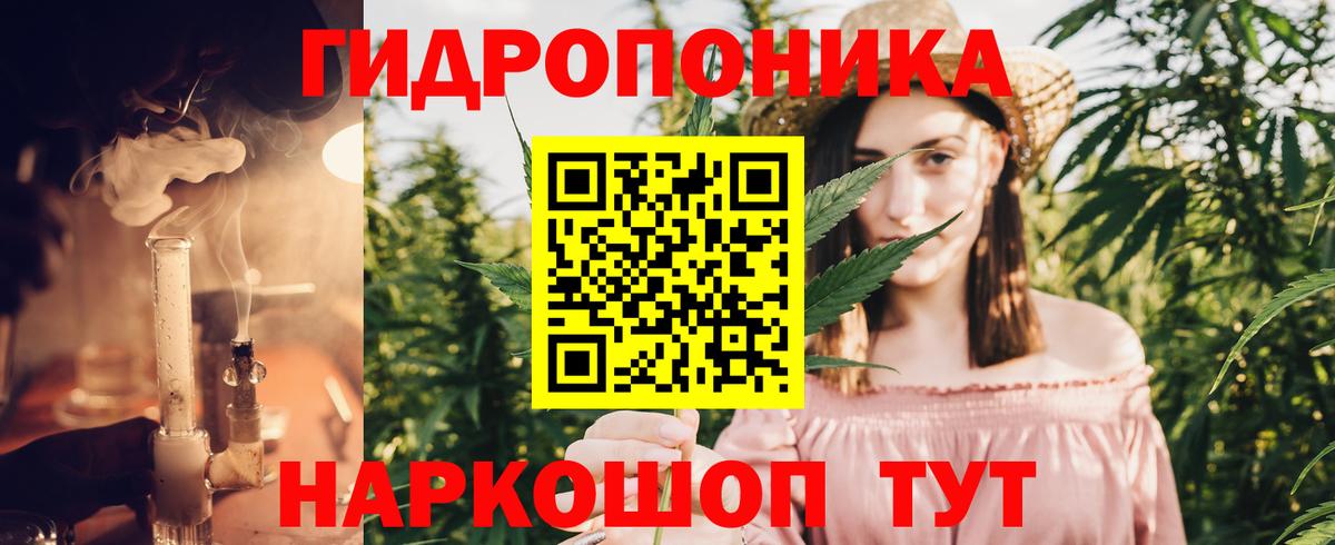 Каннабис Amnesia Ачинск